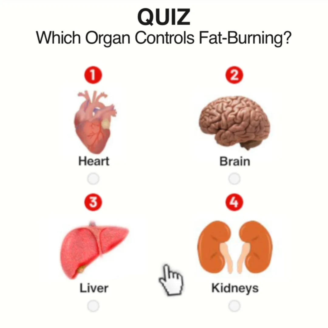 See the Are There Any Dietary Or Lifestyle Changes I Should Make While Consuming These Herbs? in detail.